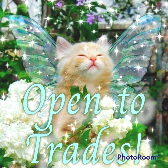 Open to Trades! - Picture 4 of 7